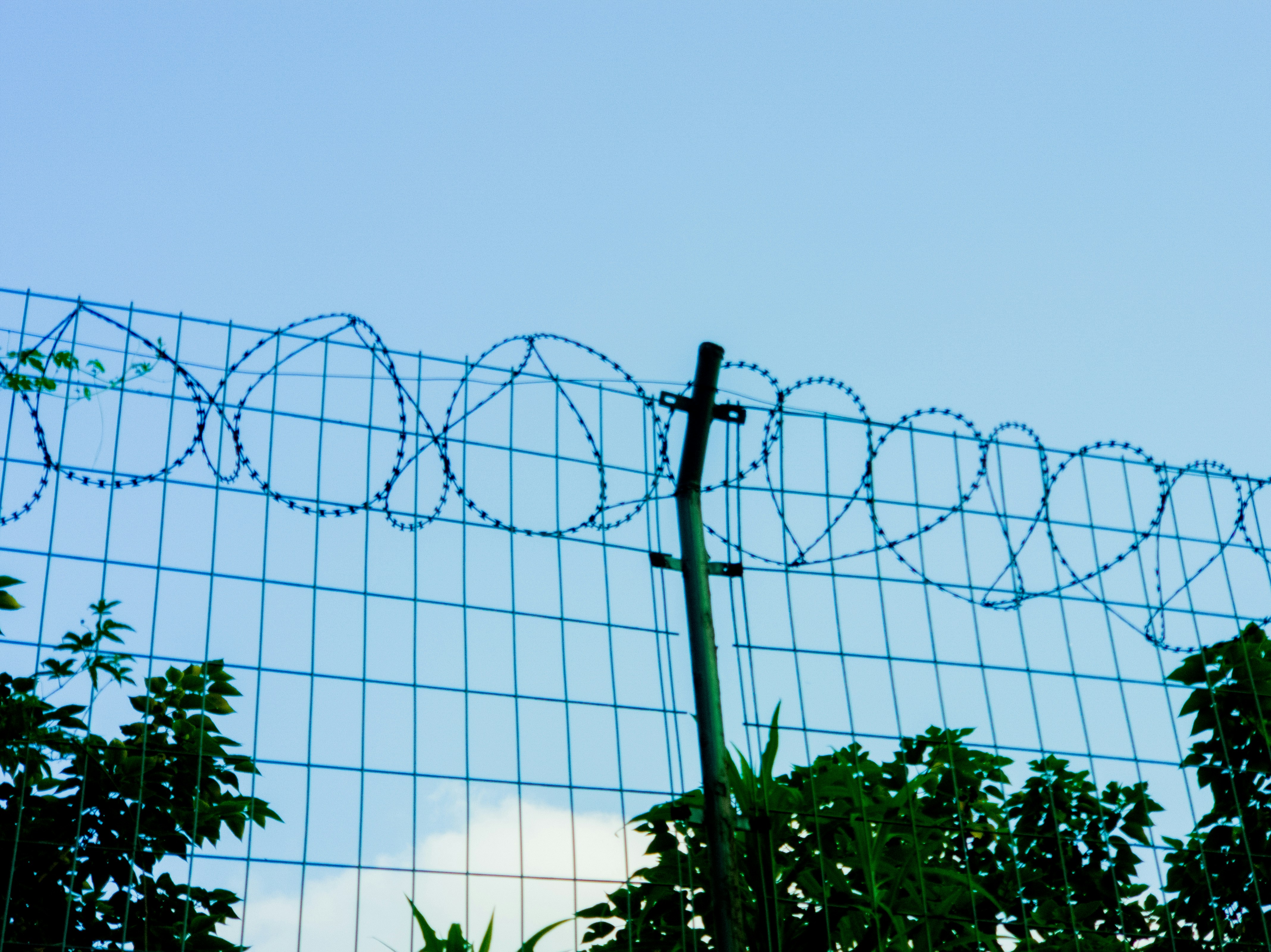 Cyclone Wire Fencing Image